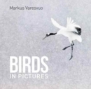 Image for Birds in Pictures