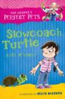 Image for Slowcoach Turtle