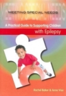 Image for Meeting Special Needs : Epilepsy