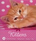 Image for Kittens Stationery Pack