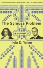 Image for Spinoza Problem: a novel