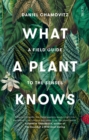 Image for What a Plant Knows: a field guide to the senses