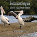 Image for Seagulls &amp; pelicans  : photos &amp; outlines to inspire