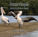 Image for Pelicans &amp; Seagulls: Photos and Outlines to Inspire