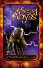 Image for The Secret Abyss