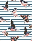 Image for Flexi Journal : Birds with Stripes
