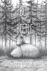 Image for Boy and the Beetle