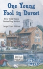 Image for One Young Fool in Dorset - LARGE PRINT