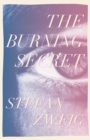 Image for The Burning Secret