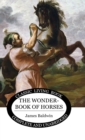 Image for The Wonder Book of Horses