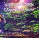 Image for Wasemusara Amurupi (O Explorador Excentrico)
