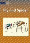Image for Fly And Spider