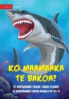 Image for Are You Afraid of Sharks? - Ko maamaaka te bakoa? (Te Kiribati)