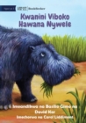 Image for Why Hippos Have No Hair - Kwanini Viboko Hawana Nywele