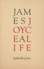 Image for James Joyce : A Life
