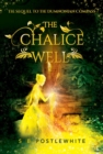 Image for Chalice Well