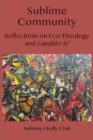 Image for Sublime Community : Reflections on Eco-Theology and Laudato Si&#39;