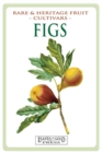 Image for Figs : Rare and Heritage Fruit Cultivars #13