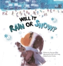 Image for Will it rain or snow?