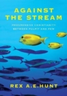 Image for Against the stream : Progressive Christianity between Pulpit and Pew