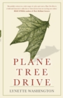 Image for Plane Tree Drive