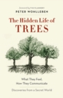 Image for The hidden life of trees: what they feel, how they communicate - discoveries from a secret world