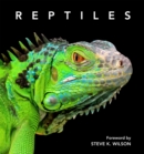 Image for Reptiles