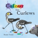 Image for Colour for Curlews