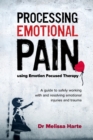 Image for Processing Emotional Pain using Emotion Focused Therapy