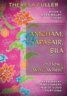 Image for Amcham, Apasair, Bila or How, Why, When