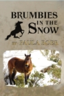 Image for Brumbies in the Snow