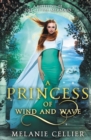 Image for A Princess of Wind and Wave : A Retelling of The Little Mermaid
