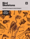 Image for Bird Skeletons : Copyright-Free Images for Artists &amp; Designers