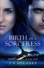 Image for Birth Of A Sorceress
