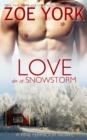 Image for Love in a Snowstorm