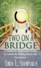 Image for Two on a Bridge : A Guidebook Using Ancient Insight to Unleash the Healing Powers That Surround Us