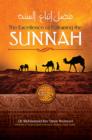 Image for Excellence of Following the Sunnah