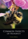 Image for Common Insects of Nunavut