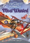 Image for Flying Furballs 4: Most Wanted