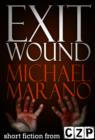 Image for Exit Wound: Short Story