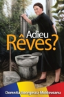 Image for Adieu Reves?