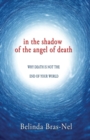 Image for In the shadow of the angel of death : Why death is not the end of your world