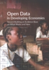 Image for Open data in developing economies