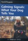 Image for CALMING SIGNALS DVD