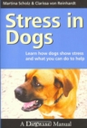 Image for Stress in dogs: From Fishing Village to Edwardian Resort
