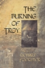 Image for The Burning of Troy
