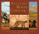 Image for Antelope, Bison, Cougar