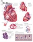 Image for Heart Paper Poster