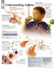 Image for Understanding Asthma Laminated Poster