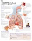 Image for COPD &amp; Asthma Paper Poster